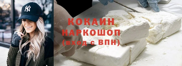 стаф Алзамай