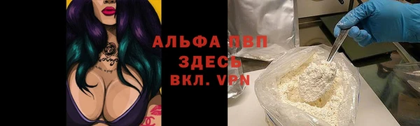 крисы Аркадак