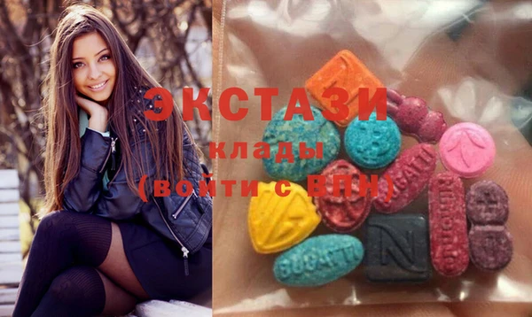 крисы Аркадак