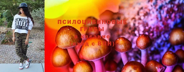 крисы Аркадак
