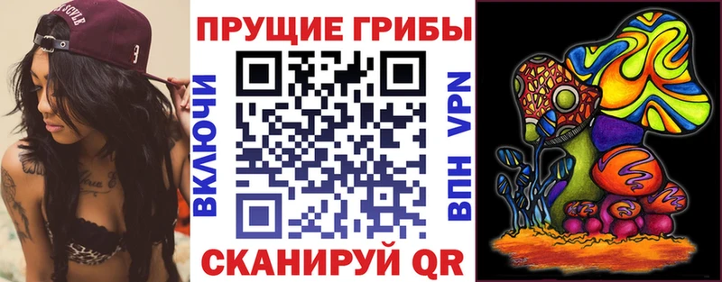 Галлюциногенные грибы GOLDEN TEACHER  наркошоп  Коломна 